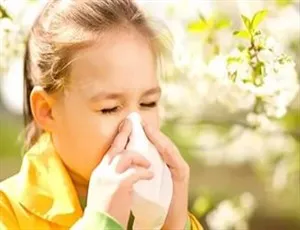 Алергични симптоми лалета, особено за лечение на възрастни и деца (позиция алергични към цъфтежа)