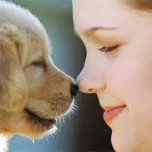 Canistherapy - лечение с помощта на кучета, медицински бележки