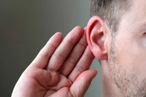 Камфорово масло - особено когато ушите причиняват заболявания, назначаване и противопоказания