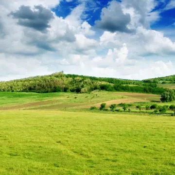 Когато действието спира земя сервитутната