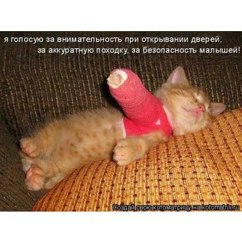 Cat счупи лапа