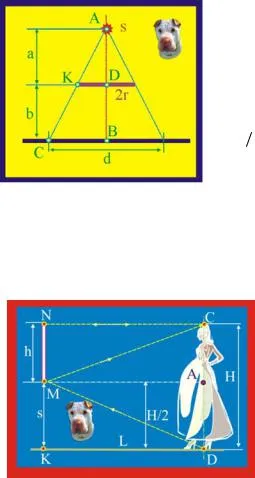 examen de rezolvare a problemelor