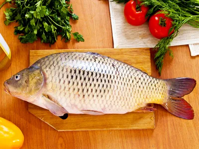 Риба - ключов продукт в хранителния режим на човека - новини - хора живота