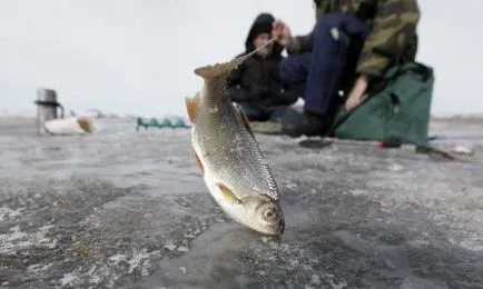 Pescuit la recenzii și fotografii ale turiștilor Yauzskaya Reservoir