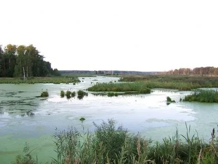 Pescuit la recenzii și fotografii ale turiștilor Yauzskaya Reservoir