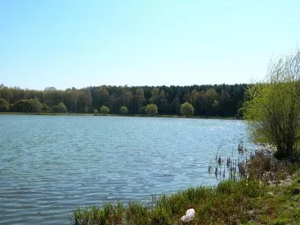 Pescuit la recenzii și fotografii ale turiștilor Yauzskaya Reservoir