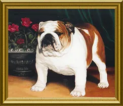 English Bulldogs