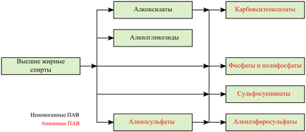 Anatomia de produse cosmetice care, ca parte a produselor cosmetice preferate