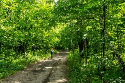 Kumysnyh luncă, Saratov ca conexiunile de transport, rute