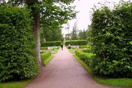 Tájkép alley tervezés Budapesten, táj stúdió derevo park