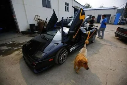 Lamborghini Diablo saját kezébe - jo-jo az Ön helye a nap alatt