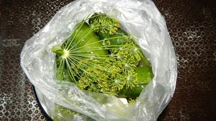 Sós uborka egy műanyag zsákban - egyszerű receptek