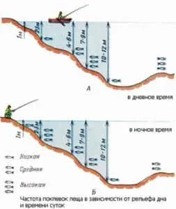 Locul unde plătică de obicei - Secretele de pescuit de succes