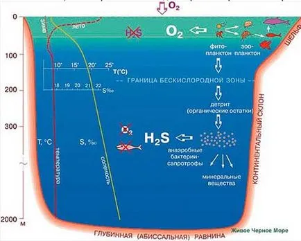 Sea hidrogén-szulfid a Fekete-tenger - a móka!