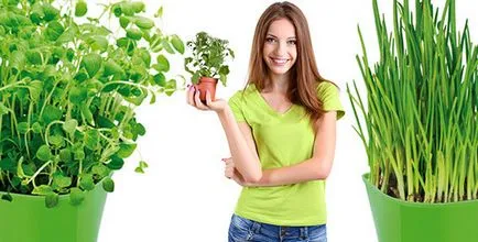 Комплект за отглеждане на растения за подправки Тескома смисъл, купуват в онлайн магазина с доставка