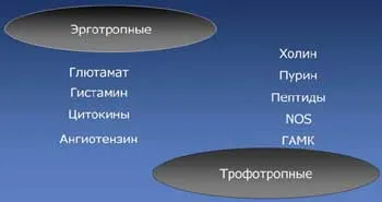 Nootropics în probleme de terapie intensivă și soluții