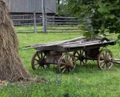 Áttekintés lőszer egy ló a szabályozását és védelmét