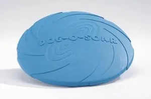 képzés Frisbee