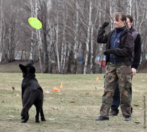 képzés Frisbee