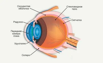 Ophthalmoplegia, ophthalmoplegia diagnózis, kezelés ophthalmoplegia