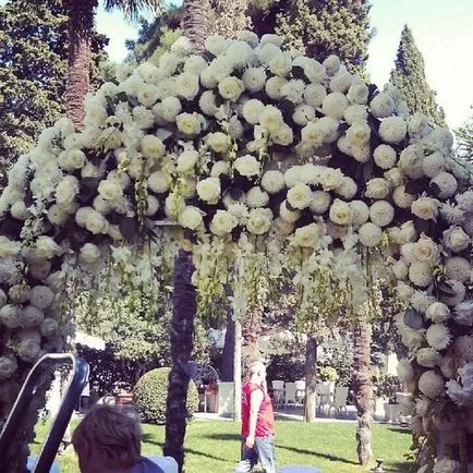 Efectuarea de tendinte de flori de nunta, sfaturi florar, designer de, fotografie