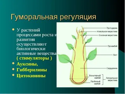 Организмът е Biosystem, състояща се от взаимодействащи елементи