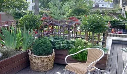 Zöldtető, illetve hogyan lehet a kert a tetőn egy fotó és videó