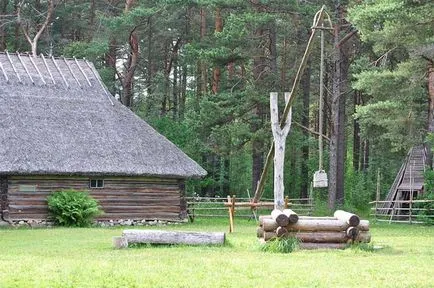 Szivattyúzás jól alapelveit, hogy miért szükséges, hogy tiszta a ház is, és megelőző karbantartás