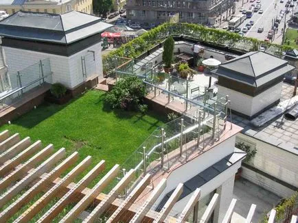 Зелен покрив, или как да се направи градина на покрива на снимка и видео