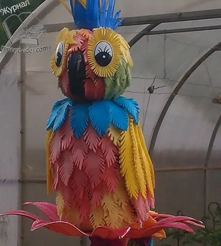 Parrot de sticle izolona si plastic