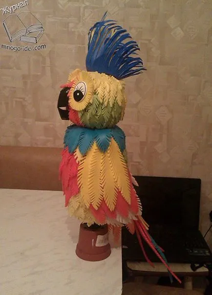 Parrot de sticle izolona si plastic