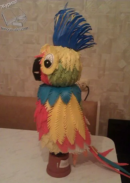 Parrot de sticle izolona si plastic