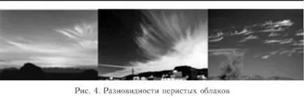 Предсказване на времето на облаците - оцеляването на дивите и екстремни ситуации