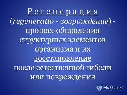 Előadás a regeneráció és transzplantációs szervek és szövetek Assoc