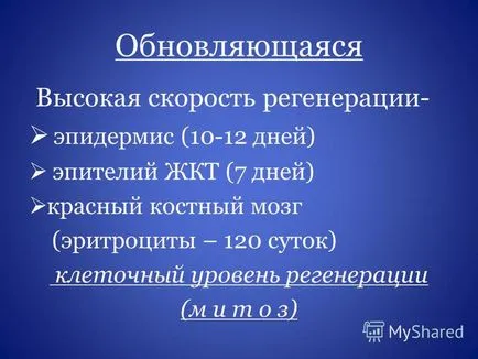 Представяне на регенерация и трансплантация на органи и тъкани доц