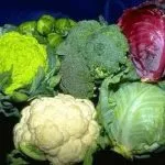Broccoli (broccoli), agricultura de subzistență