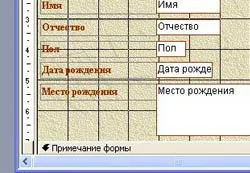 Programarea pe VBA în baza de date de acces 2003