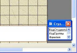 Programarea pe VBA în baza de date de acces 2003