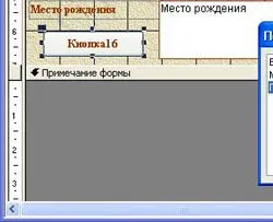 Programarea pe VBA în baza de date de acces 2003