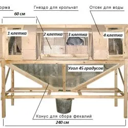 cuști industrială pentru iepuri, ingrosandu metoda de desene și fotografii Mikhailova