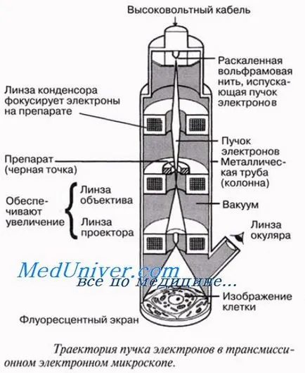 Principiul de acțiune al unui microscop electronic