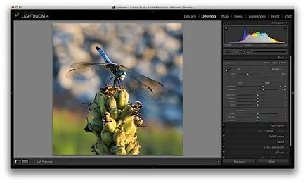 Cinci instrumente Lightroom, care va schimba fotografia