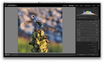 Пет Lightroom инструменти, които ще променят вашата снимка