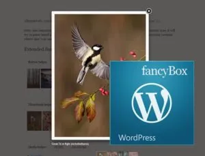A se vedea „blog-ul de design“ totul despre proiectarea unui site pe WordPress