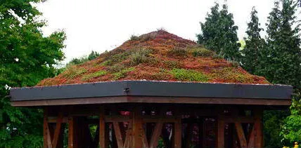 Roof Garden