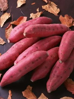 radacini si tuberculi de plante și de fotografie și cartofi dulci lor