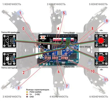 összeszerelése hexapod