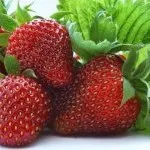 Колко живота ягоди ягодоплодни насаждения
