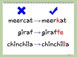 Vocabulary diktálás angol yazykusekrety angol