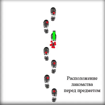 Трейс работа в емоциите на отбора